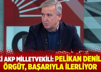 Eski AKP milletvekili: Pelikan denilen örgüt, başarıyla ilerliyor