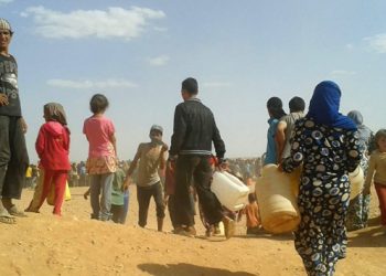 Irak’ta 4 milyon göçmen evlerine geri döndü