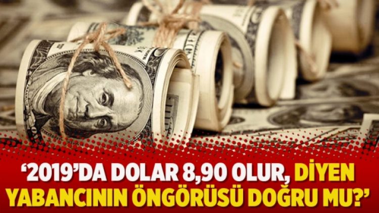 ‘2019’da dolar 8,90 olur, diyen yabancının öngörüsü doğru mu?’