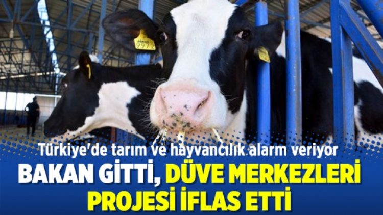 Bakan gitti, düve merkezleri projesi iflas etti
