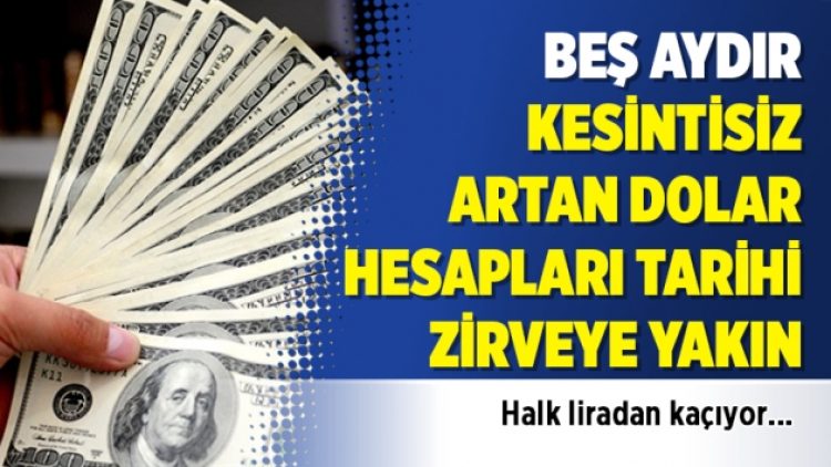 Beş aydır kesintisiz artan dolar hesapları tarihi zirveye yakın