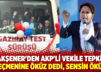 Akşener’den AKP’li vekile tepki: Sensin öküz