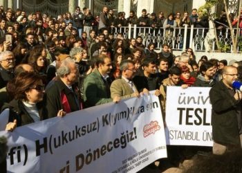 Alman akademisyenlerden Türkiye’ye eleştiri