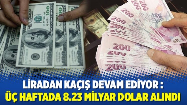 Liradan kaçış devam ediyor: Üç haftada 8.23 milyar dolar alındı