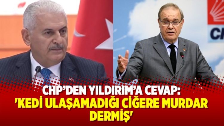 CHP’den Yıldırım’a cevap: ‘Kedi ulaşamadığı ciğere murdar dermiş’