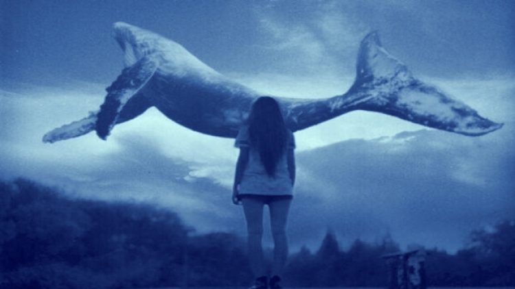 13 yaşındaki çocuğun ölümünde ‘Mavi Balina’ şüphesi