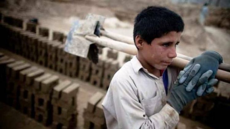 23 Nisan’da çocuk işçi gerçeği: 10 çocuktan 8’i kayıt dışı