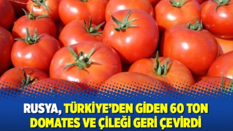 Rusya, Türkiye’den giden 60 ton domates ve çileği geri çevirdi
