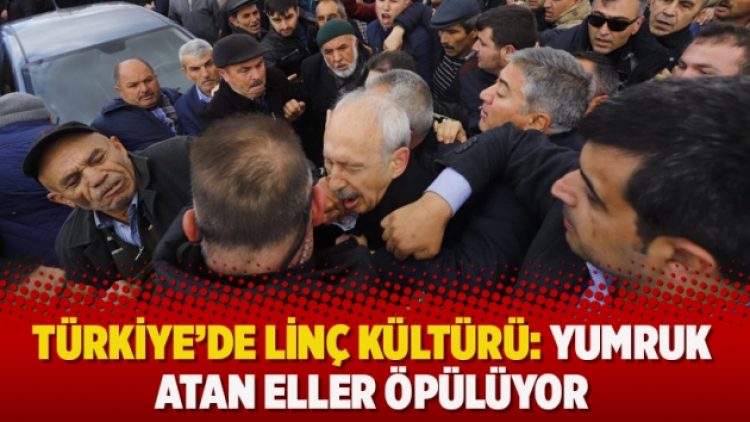 Türkiye’de linç kültürü: “Yumruk atan eller öpülüyor”