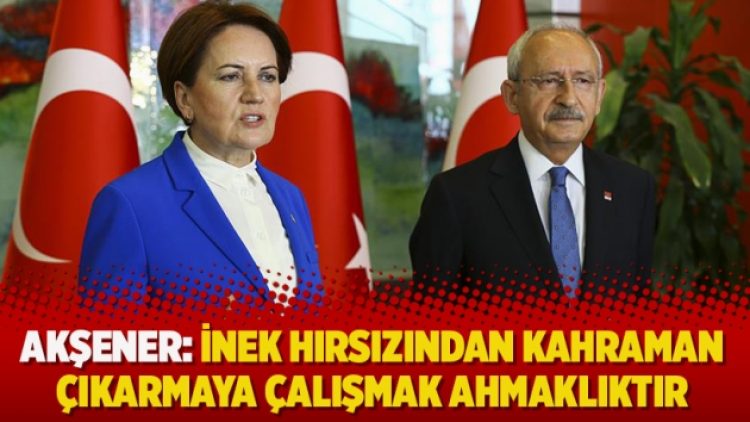 Akşener: İnek hırsızından kahraman çıkarmaya çalışmak ahmaklıktır