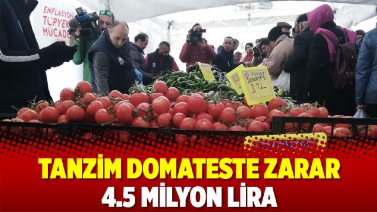 Tanzim domateste zarar 4.5 milyon lira