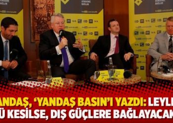 Yandaş Kemal Öztürk, ‘yandaş basın’ı yazdı: Leylek göçü kesilse, dış güçlere bağlayacaklar