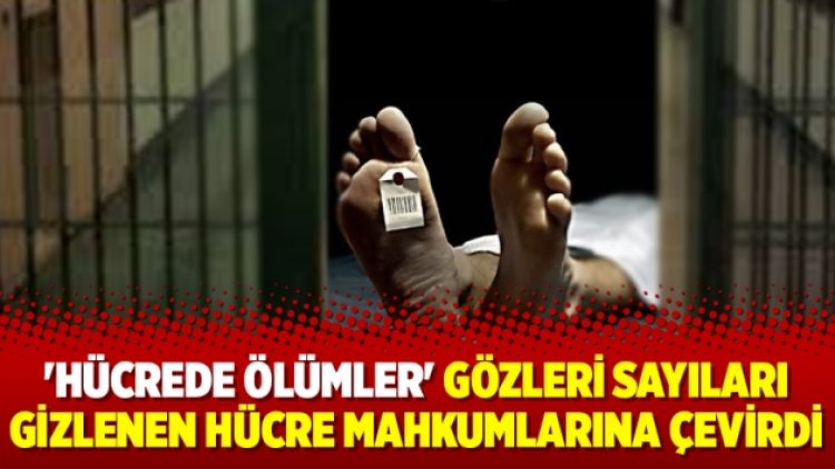 ‘Hücrede ölümler’ gözleri sayıları gizlenen hücre mahkumlarına çevirdi