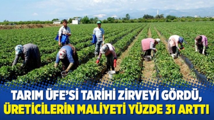 Tarım ÜFE’si tarihi zirveyi gördü, üreticilerin maliyeti yüzde 31 arttı