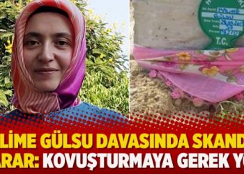 Halime Gülsu davasında skandal karar: Kovuşturmaya gerek yok