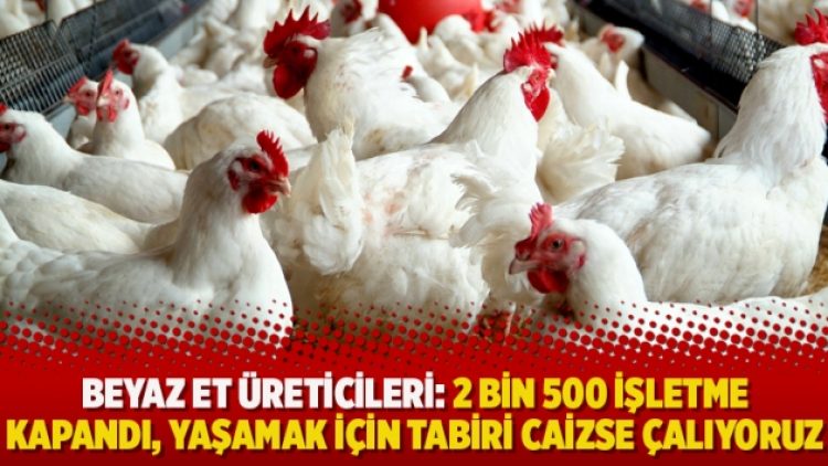 Beyaz et üreticileri: 2 bin 500 işletme kapandı, yaşamak için tabiri caizse çalıyoruz
