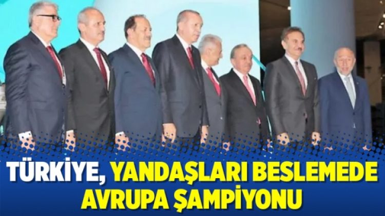 Türkiye, yandaşları beslemede Avrupa şampiyonu