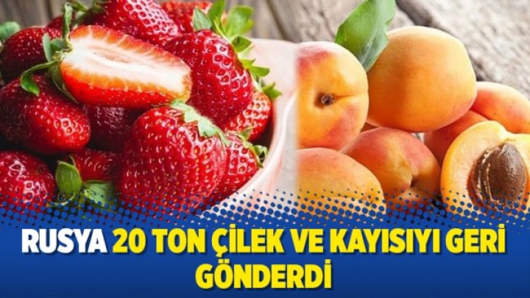 Rusya 20 ton çilek ve kayısıyı geri gönderdi