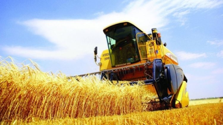 Tarım alanı 3.3 milyon hektar düştü, çiftçi sayısı 661 bin kişi azaldı