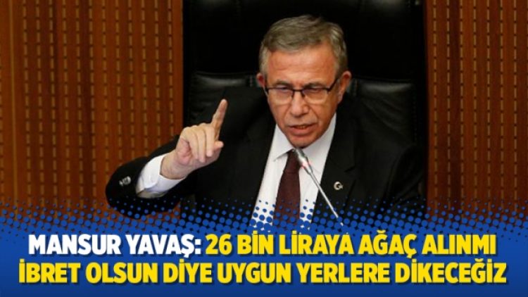 Mansur Yavaş: 26 bin liraya ağaç alınmş