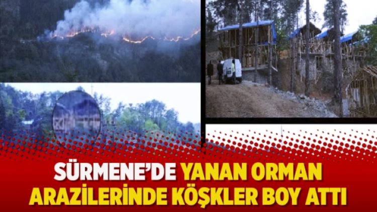 Sürmene’de yanan orman arazilerinde köşkler boy attı