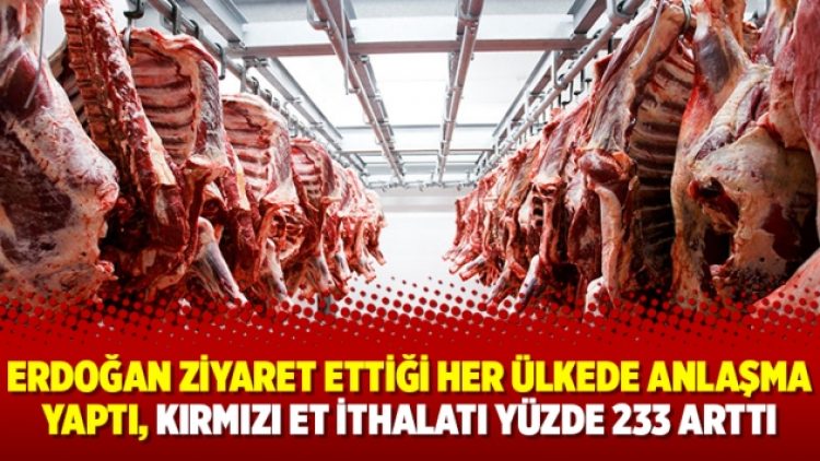 Erdoğan ziyaret ettiği her ülkede anlaşma yaptı, kırmızı et ithalatı yüzde 233 arttı
