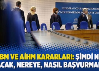 “BM ve AİHM Kararları: Şimdi ne olacak, nereye, nasıl başvurmalı?”