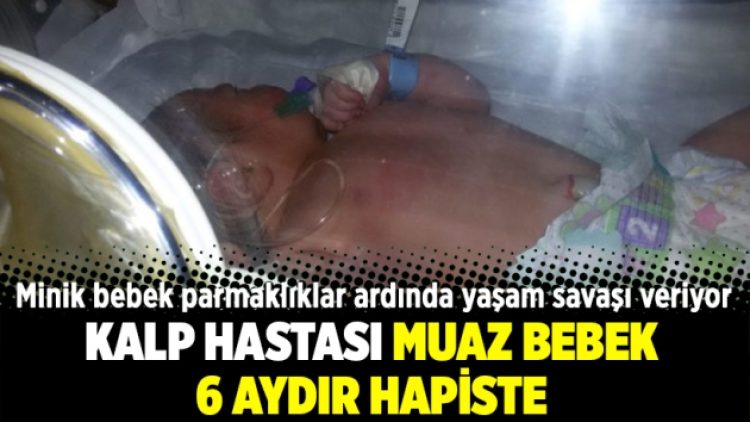 Kalp hastası Muaz bebek 6 aydır hapiste