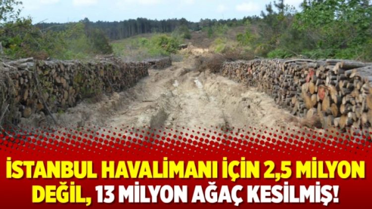 İstanbul havalimanı için 2,5 milyon değil, 13 milyon ağaç kesilmiş!