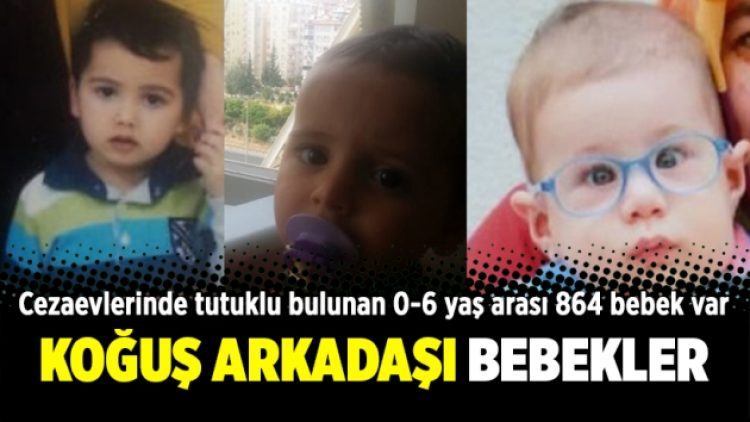 Koğuş arkadaşı bebekler