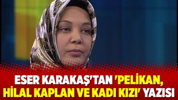 Eser Karakaş’tan ‘Pelikan, Hilal Kaplan ve kadı kızı’ yazısı