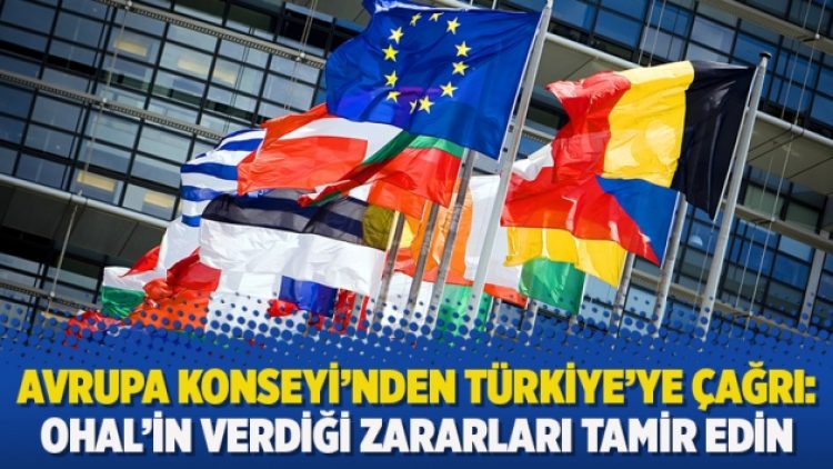 Avrupa Konseyi’nden Türkiye’ye çağrı: OHAL’in verdiği zararları tamir edin