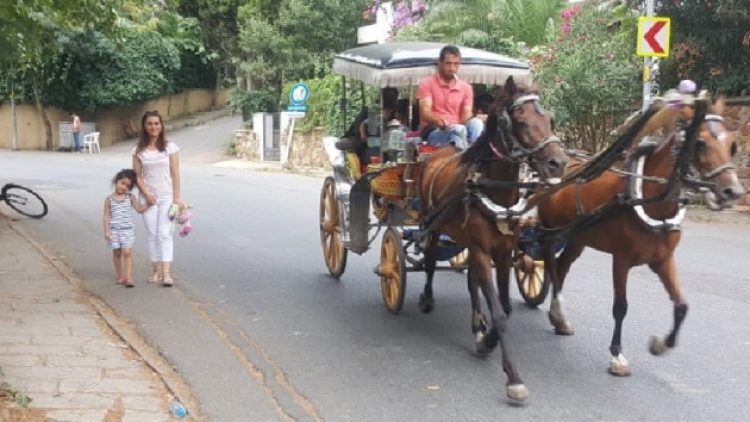 İBB’nin önünde fayton protestosu: ‘Atların çığlıklarını duy’