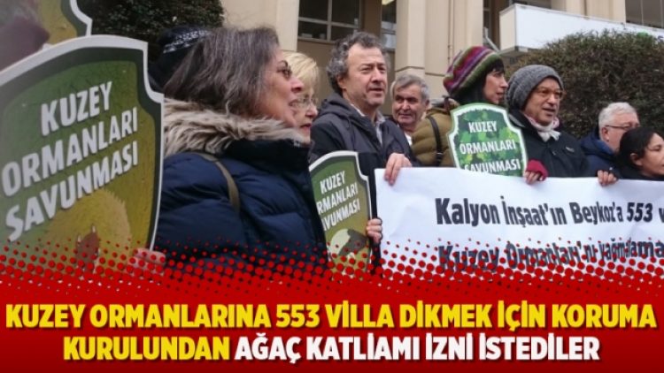 Kuzey Ormanlarına 553 villa dikmek için koruma kurulundan ağaç katliamı izni istediler