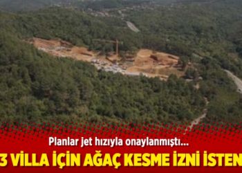 553 villa için ağaç kesme izni istendi