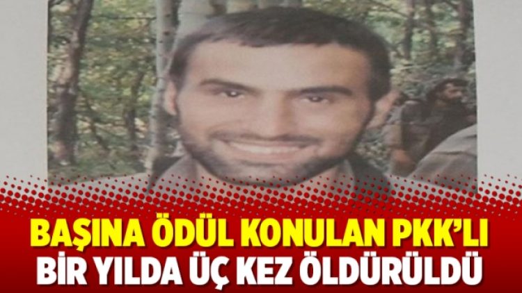 Başına ödül konulan PKK’lı bir yılda üç kez öldürüldü