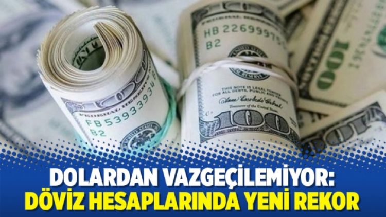 Dolardan vazgeçilemiyor: Döviz hesaplarında yeni rekor