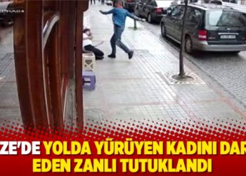 Rize’de yolda yürüyen kadını darp eden zanlı tutuklandı