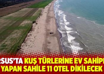 Tarsus’ta kuş türlerine ev sahipliği yapan sahile 11 otel dikilecek