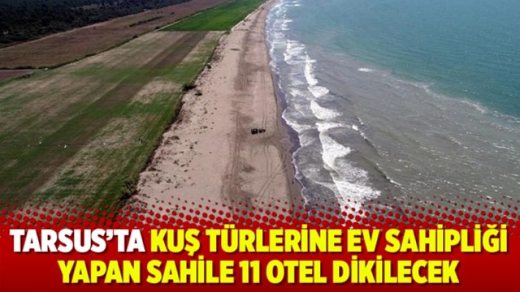 Tarsus’ta kuş türlerine ev sahipliği yapan sahile 11 otel dikilecek