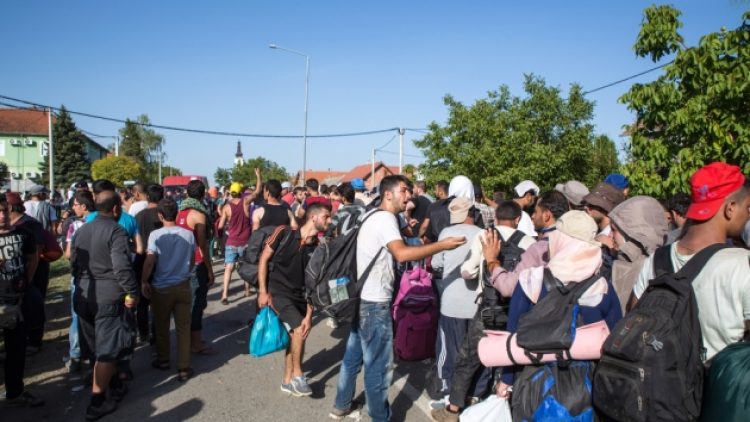 Almanya’dan mültecilere yeni imkânlar