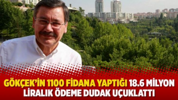 Gökçek’in 1100 fidana yaptığı 18.6 milyon liralık ödeme dudak uçuklattı