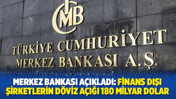 Merkez Bankası açıkladı: Finans dışı şirketlerin döviz açığı 180 milyar dolar