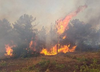 Bursa’daki yangın için sabotaj iddiası!