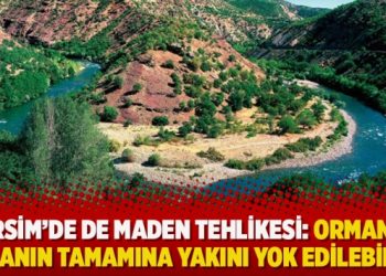 Dersim’de de maden tehlikesi: Ormanlık alanın tamamına yakını yok edilebilir