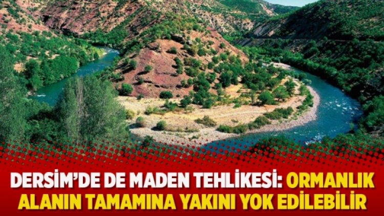 Dersim’de de maden tehlikesi: Ormanlık alanın tamamına yakını yok edilebilir