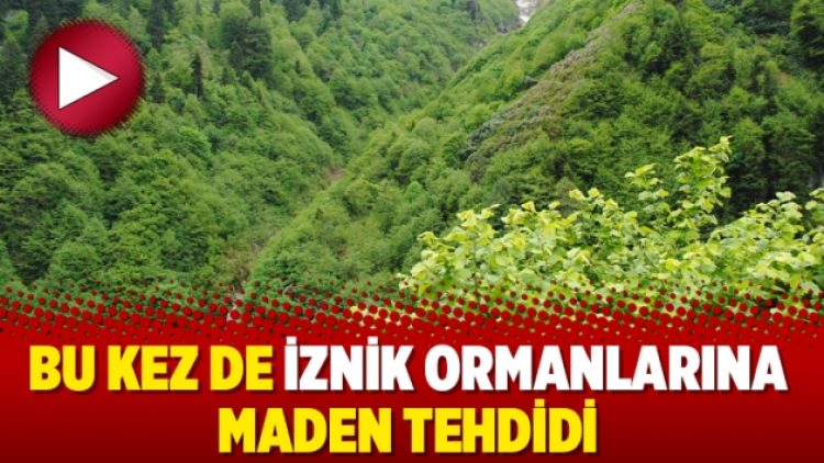 Bu kez de İznik ormanlarına maden tehdidi