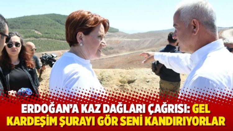 Akşener’den Erdoğan’a Kaz Dağları çağrısı: Gel kardeşim şurayı gör seni kandırıyorlar