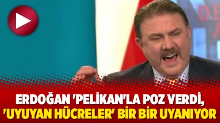 Erdoğan ‘Pelikan’la poz verdi, ‘uyuyan hücreler’ bir bir uyanıyor