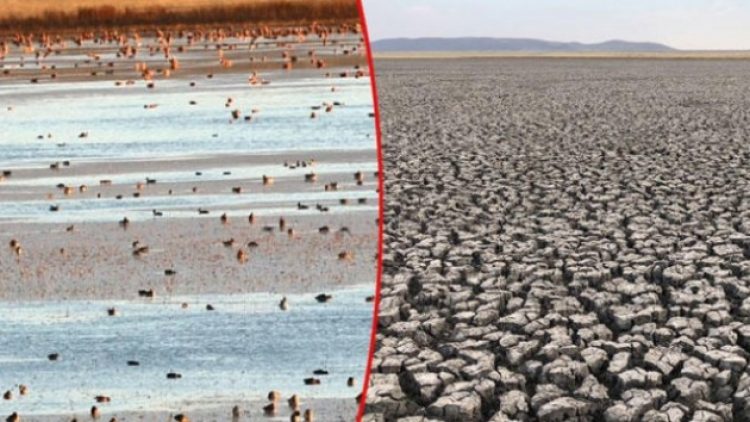 Kuş Cenneti Kuyucuk Gölü tamamen kurudu